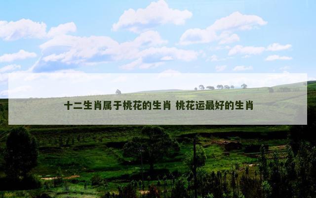 十二生肖属于桃花的生肖 桃花运最好的生肖