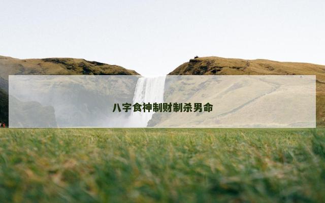 八字食神制财制杀男命