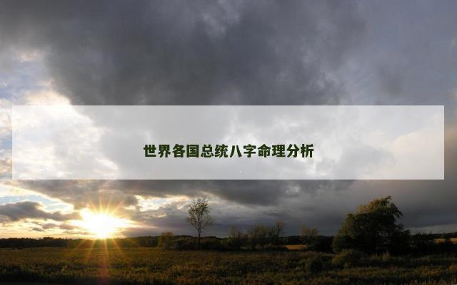 世界各国总统八字命理分析