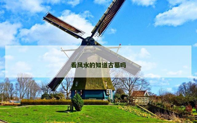 看风水的知道古墓吗