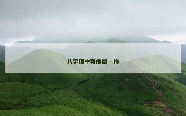 八字偏中和命局一样