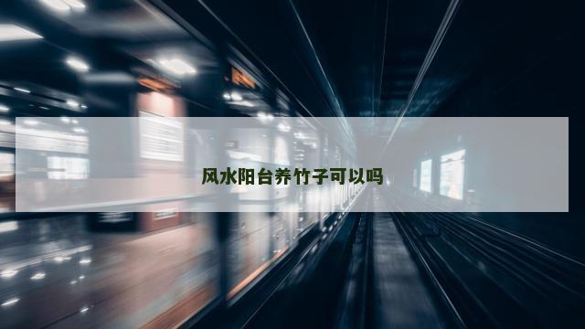 风水阳台养竹子可以吗