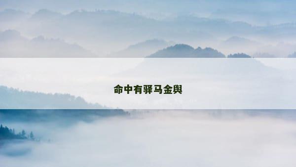 命中有驿马金舆
