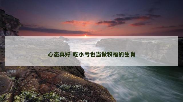 心态真好 吃小亏也当做积福的生肖
