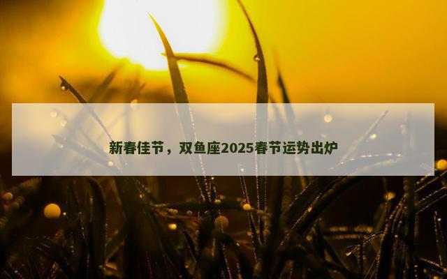 新春佳节，双鱼座2025春节运势出炉