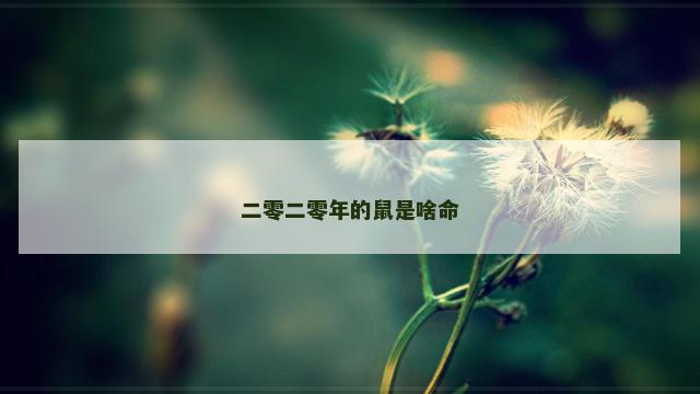 二零二零年的鼠是啥命