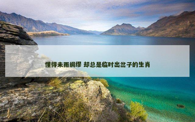 懂得未雨绸缪 却总是临时出岔子的生肖
