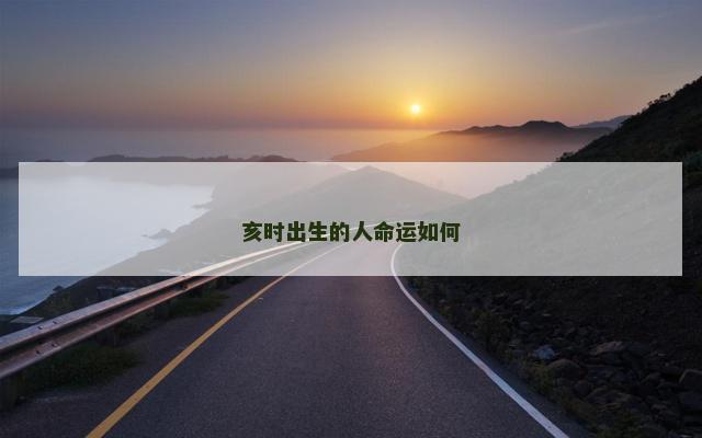 亥时出生的人命运如何