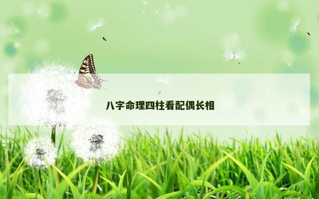 八字命理四柱看配偶长相