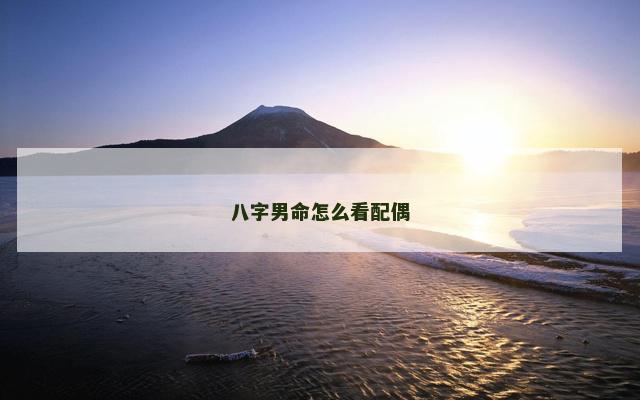 八字男命怎么看配偶