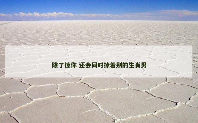 除了撩你 还会同时撩着别的生肖男