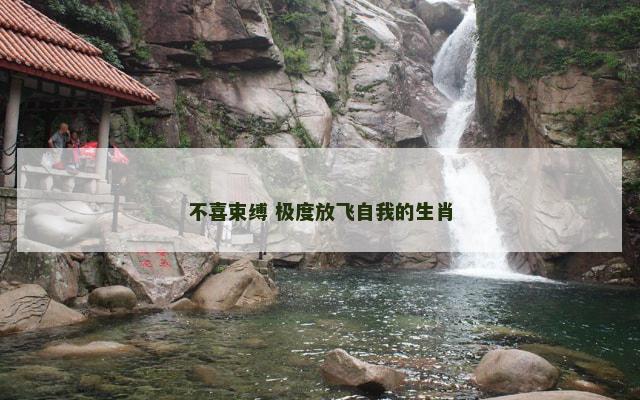 不喜束缚 极度放飞自我的生肖