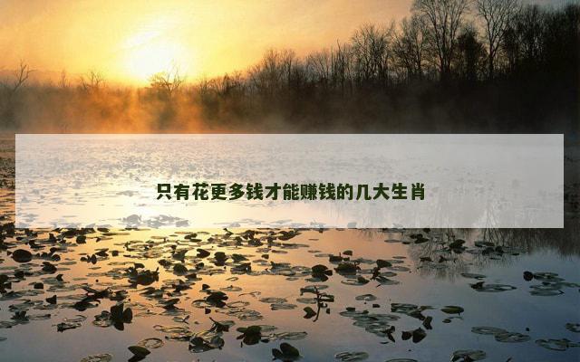 只有花更多钱才能赚钱的几大生肖