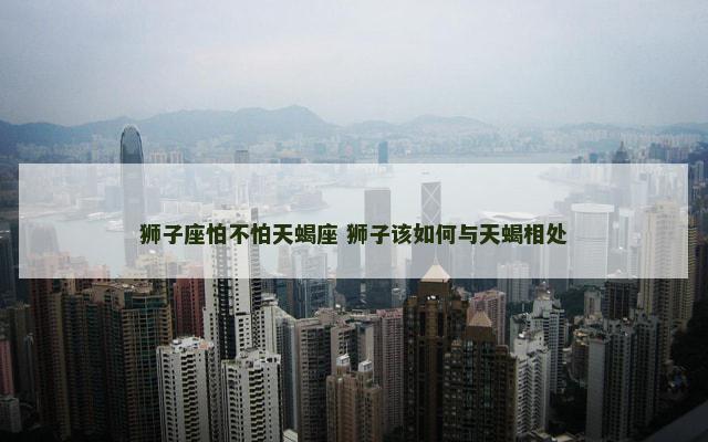 狮子座怕不怕天蝎座 狮子该如何与天蝎相处
