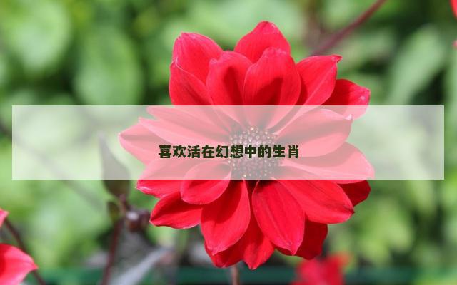 喜欢活在幻想中的生肖