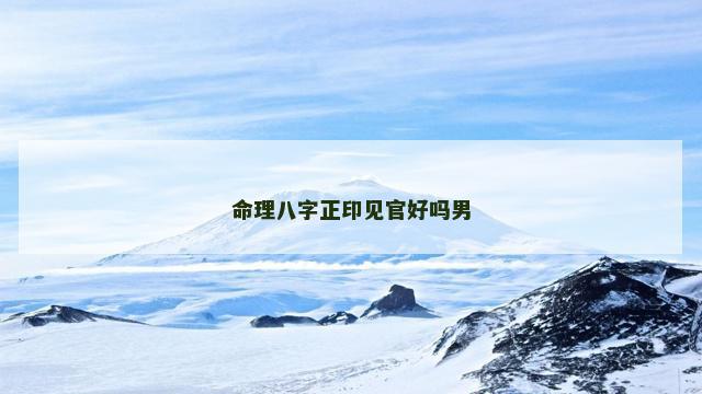 命理八字正印见官好吗男