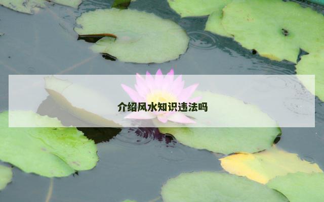 介绍风水知识违法吗