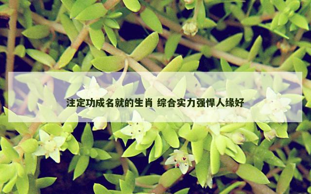 注定功成名就的生肖 综合实力强悍人缘好
