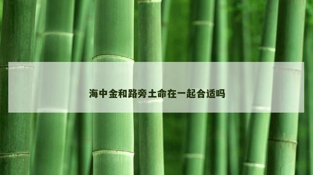 海中金和路旁土命在一起合适吗