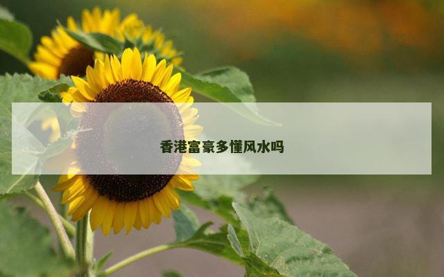 香港富豪多懂风水吗