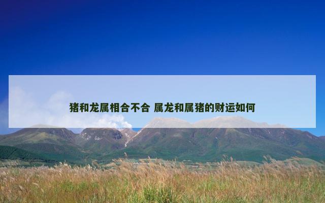 猪和龙属相合不合 属龙和属猪的财运如何