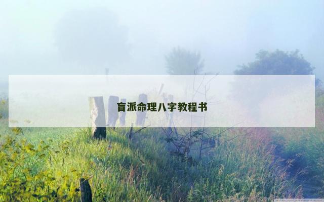 盲派命理八字教程书
