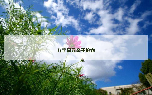 八字日元辛干论命