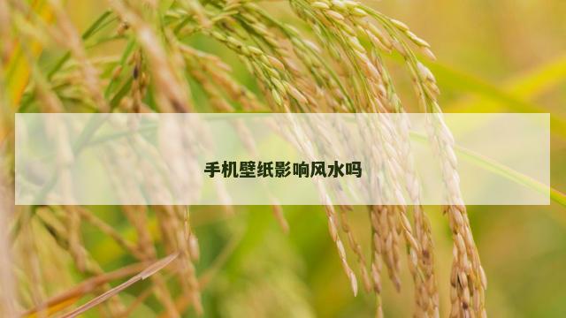 手机壁纸影响风水吗