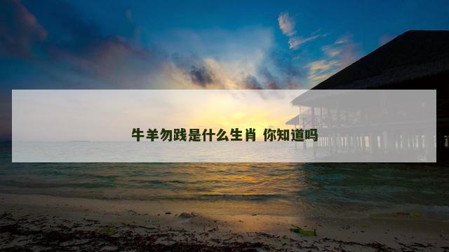 牛羊勿践是什么生肖 你知道吗