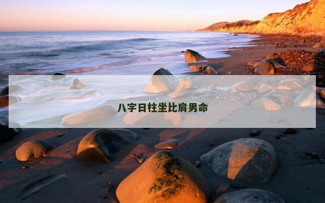 八字日柱坐比肩男命