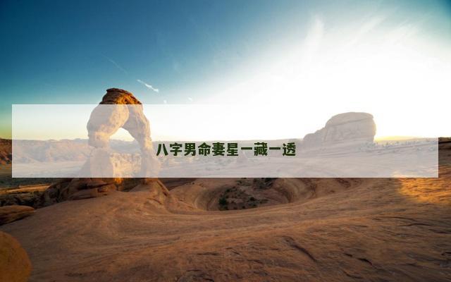 八字男命妻星一藏一透