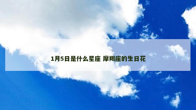 1月5日是什么星座 摩羯座的生日花