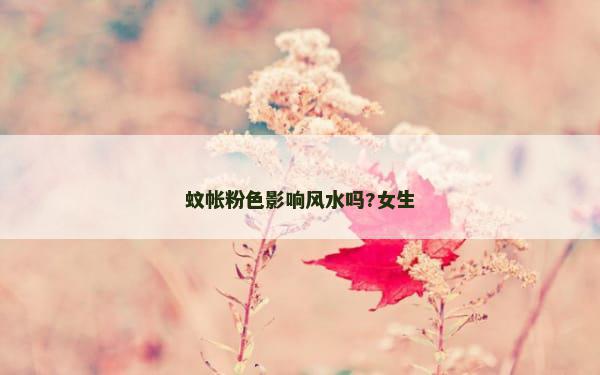 蚊帐粉色影响风水吗?女生
