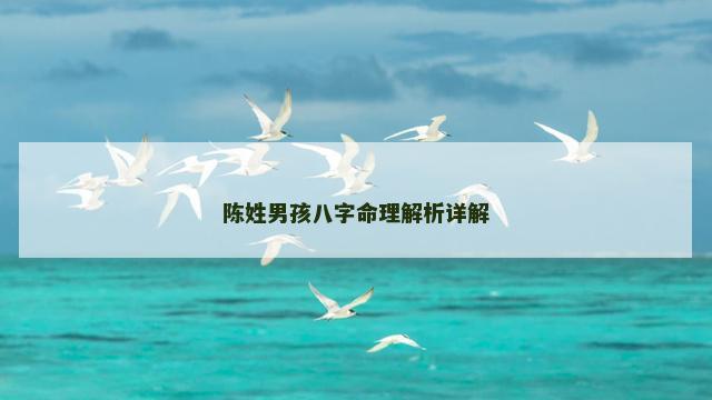陈姓男孩八字命理解析详解