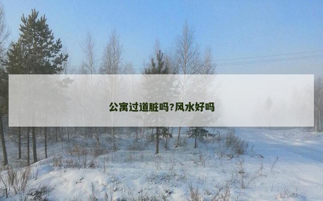 公寓过道脏吗?风水好吗