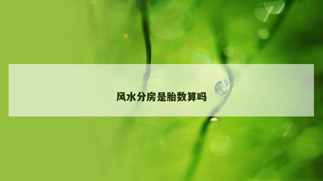 风水分房是胎数算吗