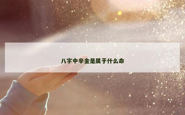 八字中辛金是属于什么命