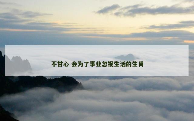 不甘心 会为了事业忽视生活的生肖
