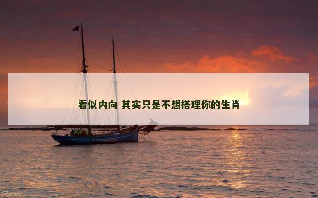 看似内向 其实只是不想搭理你的生肖