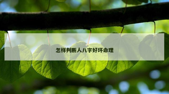 怎样判断人八字好坏命理