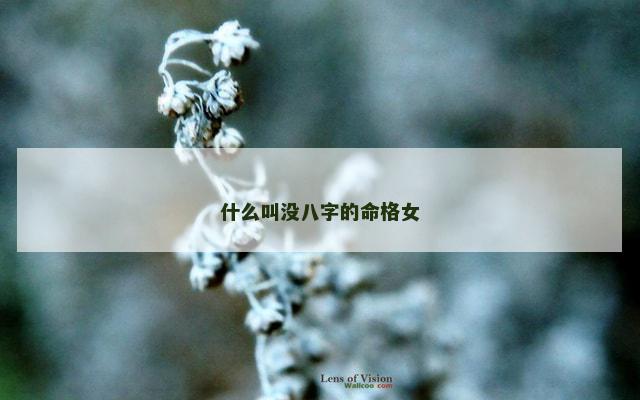 什么叫没八字的命格女
