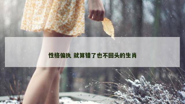 性格偏执 就算错了也不回头的生肖