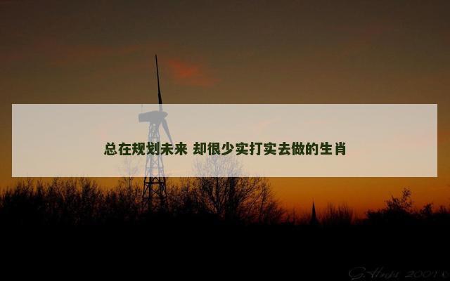 总在规划未来 却很少实打实去做的生肖