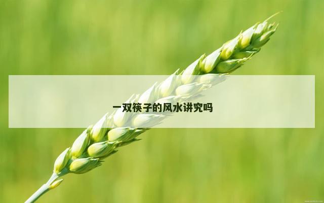 一双筷子的风水讲究吗