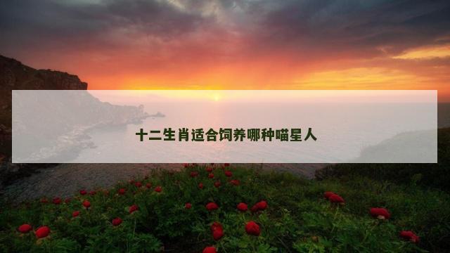 十二生肖适合饲养哪种喵星人