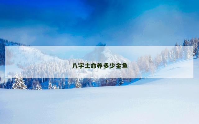 八字土命养多少金鱼