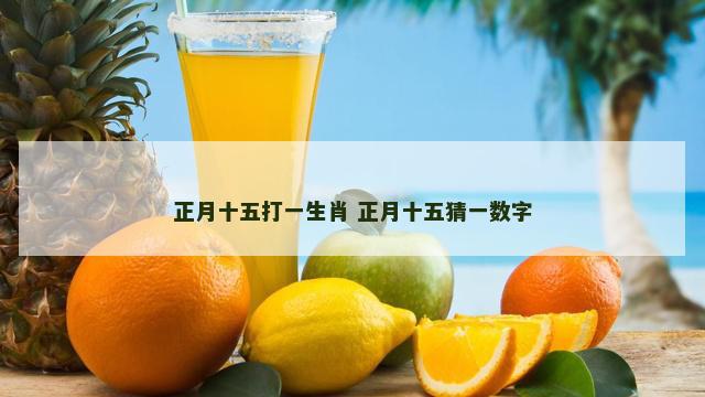 正月十五打一生肖 正月十五猜一数字