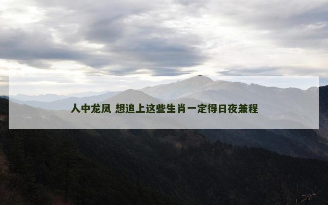 人中龙凤 想追上这些生肖一定得日夜兼程