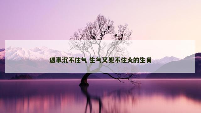 遇事沉不住气 生气又兜不住火的生肖