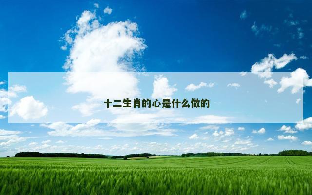 十二生肖的心是什么做的